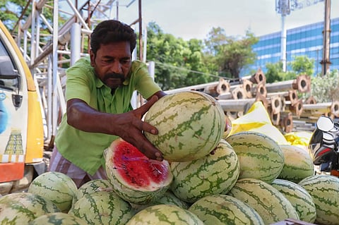 Watermelons and lemons (inset) are most sought-after this summer, but prices have been soaring every day like the mercury
