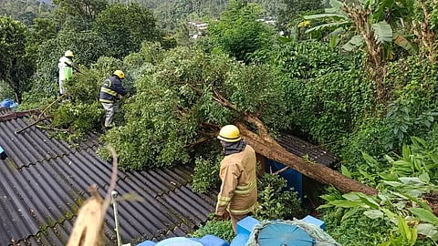 The fire and rescue personnel removing fallen trees in the Nilgiris