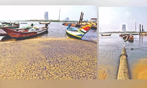 Microbial reaction turned Kosasthalaiyar river in to yellow