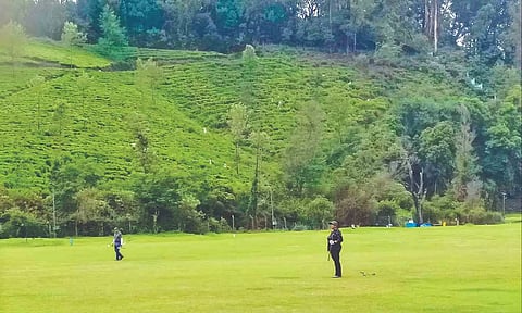 Representative image