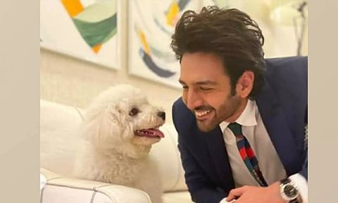 Kartik Aaryan, Katori