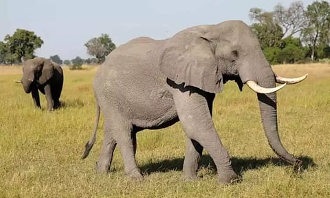 Representative Image