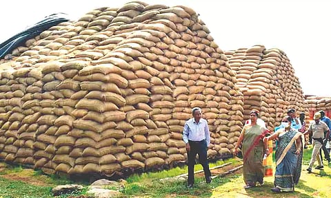 No possibility of 7,000 tonnes paddy to go missing: Dharmapuri Collector