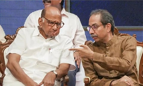 Sharad Pawar and Uddhav Thackeray (PTI)