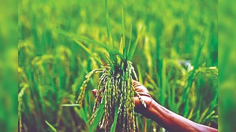 Representative image