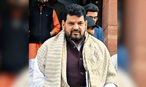 Brij Bhusha Sharan Singh 