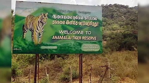 Anamalai Tiger Reserve (ATR)