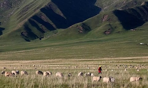 China forcibly seizes Tibetan farmers' land to build hydropower dam