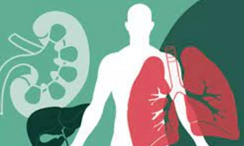 Representative Image (file image)