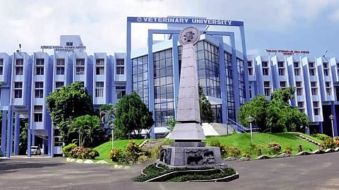 Tamil Nadu Veterinary and Animal Sciences University