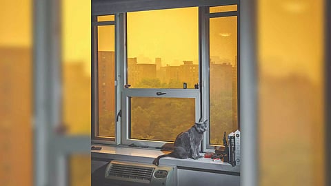 Representative Image