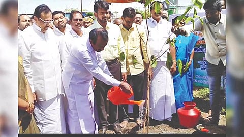 Minister Muthusamy watering a sapling in Erode on Saturday