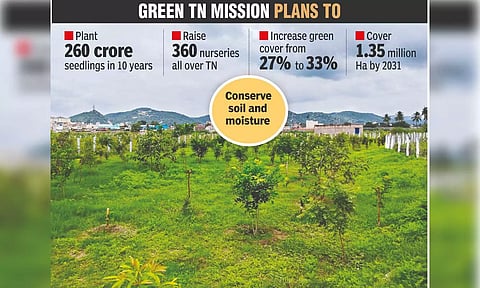 Will green efforts help Vellore to escape summer heat?