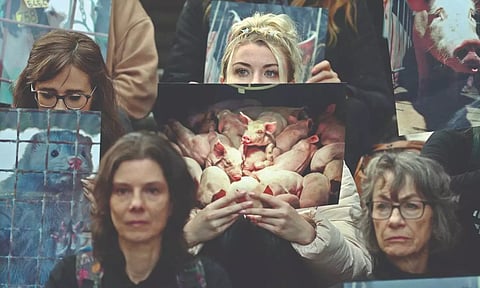 Power of the written word turning tide on animal suffering