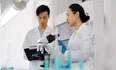 Representative Image (file image)