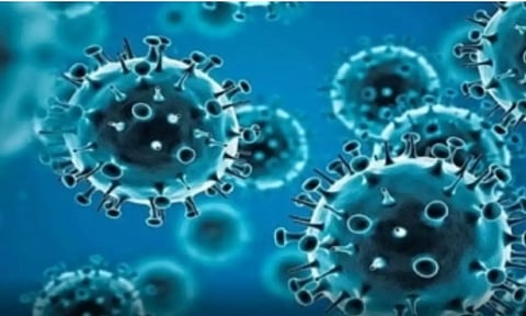 Representative Image (IANS)