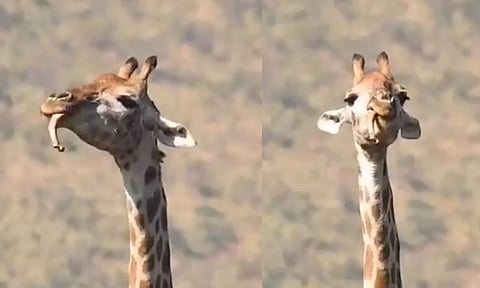 Screengrab from the video