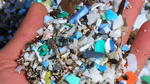 Representative Image (IANS)