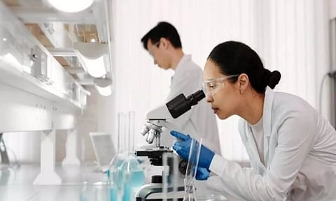 Representative Image, ANI