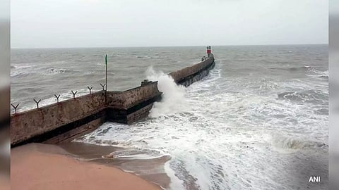 Representative Image (ANI)