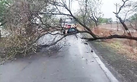 Road blocked in Jamnagar due to fallen trees