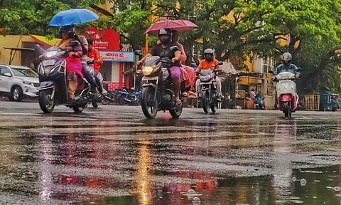 Representative image (credits: Hemanathan M)