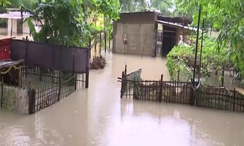 The flood waters submerged nearly 310 hectares of cropland in the district.(ANI)