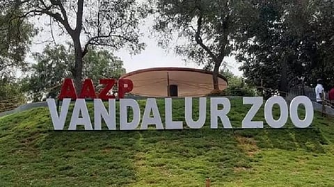 Arignar Anna Zoological park