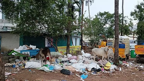 Solid waste near Chitlapakkam Lake