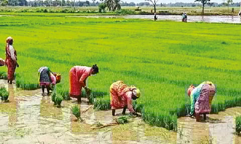 Representative image