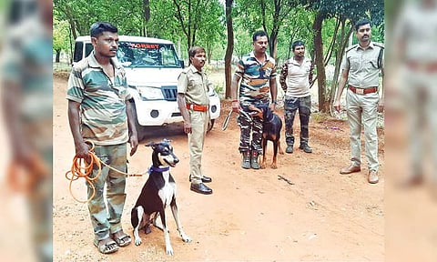 Sniffer dogs Valavan and Bairava deployed to track ‘Bahubali’