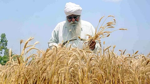 Representative Image (Photo: IANS)