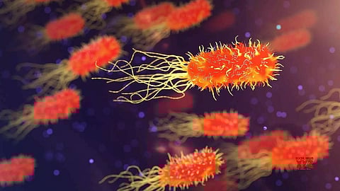 Representative Image (Photo: IANS)