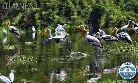 Representative image