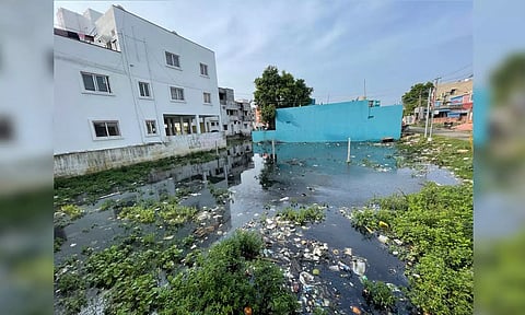 Sewage stagnation in Ayappathangal