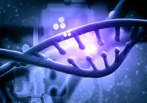 Gene therapy shows promise to help treat glaucoma