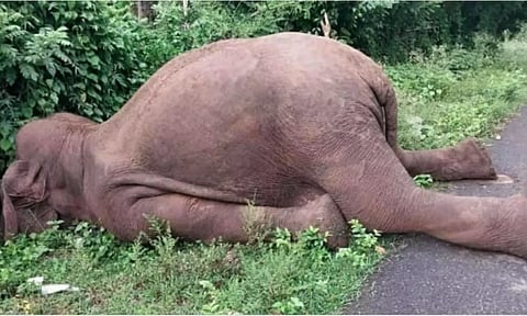 Representative image