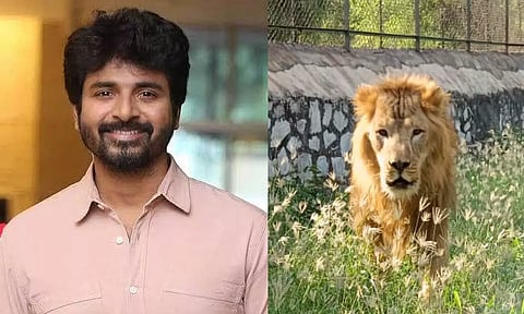 Actor Sivakarthikeyan (left); Lion 'Sheru'