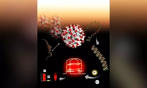 Representative image (photo: IANS)