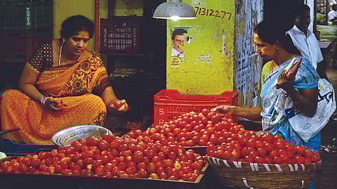 Rising tomato prices are making life miserable for the public