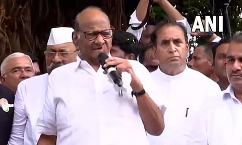 NCP chief Sharad Pawar (ANI)