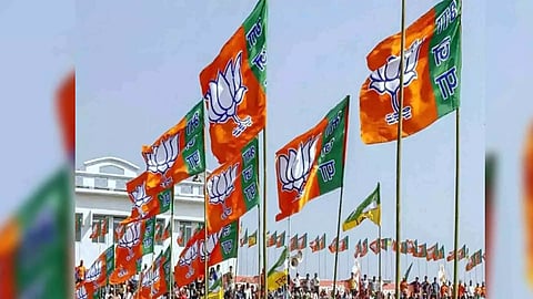 Representative Image (Photo: ANI)