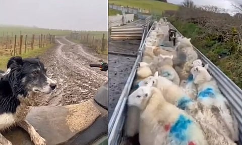 Screengrab from the video