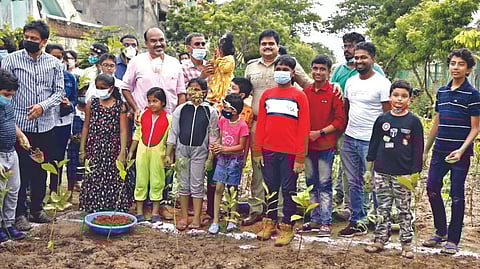 Children planting saplings