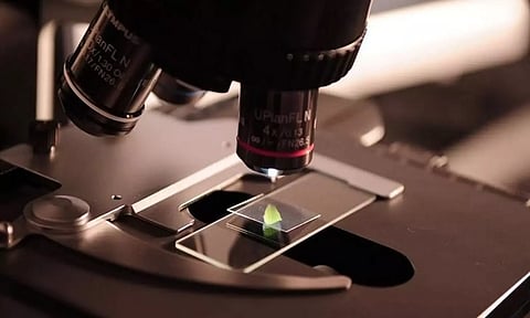 Representative image (ANI)