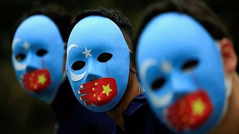 Representative image (ANI)