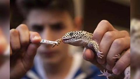 Representative Image (Photo: IANS)