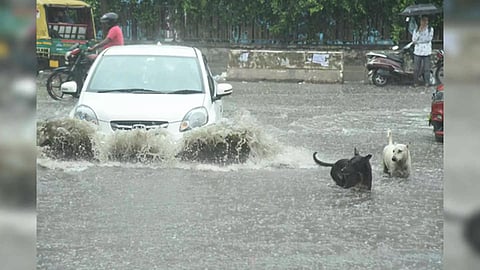 Representative Image (Photo: IANS)