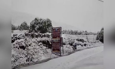 Losar village receives 'unexpected' snowfall. ANI