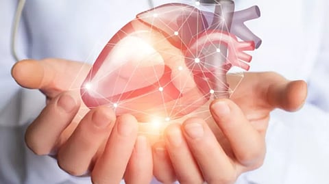 Study shows even moderate heat can affect human heart